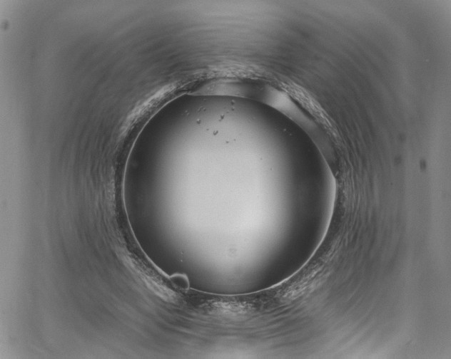 X0000064750442200602101217