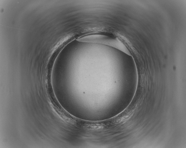 X0000064750443200602101217