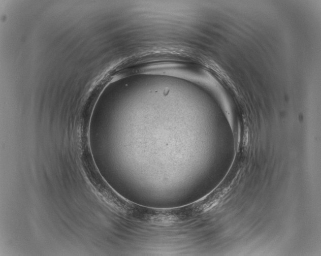 X0000064750444200602101217