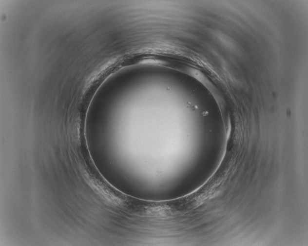 X0000064750446200602101217