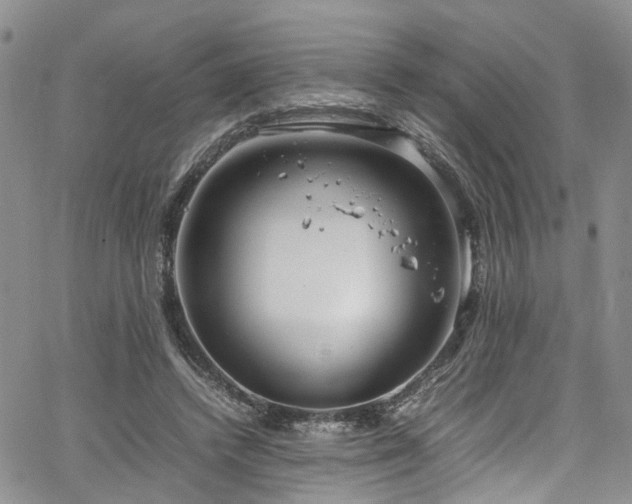 X0000064750448200602101217