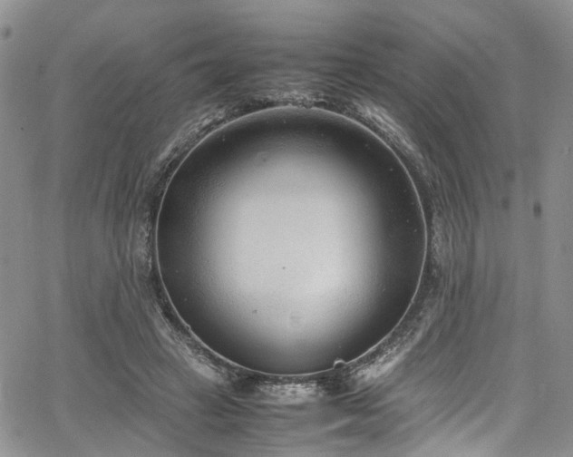 X0000064750449200602101217