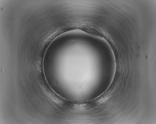 X0000064750450200602101217