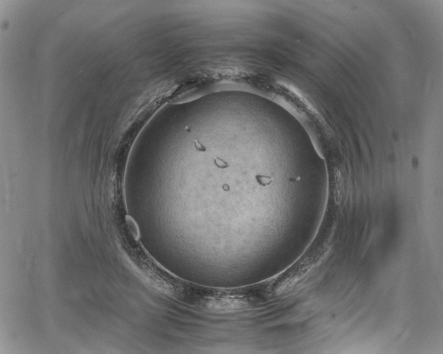 X0000064750451200602101217