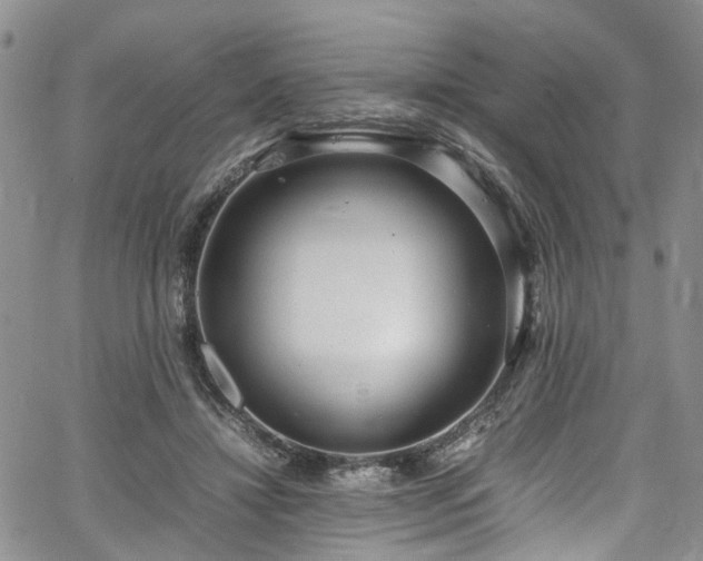 X0000064750452200602101217