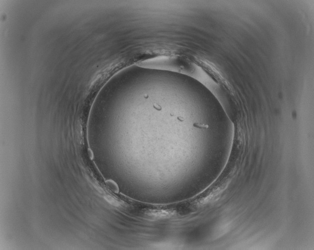 X0000064750453200602101217