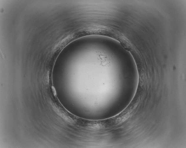 X0000064750454200602101217