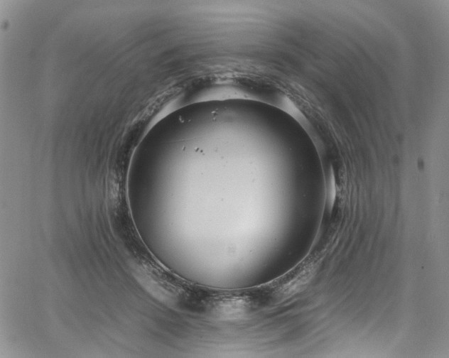 X0000064750456200602101217