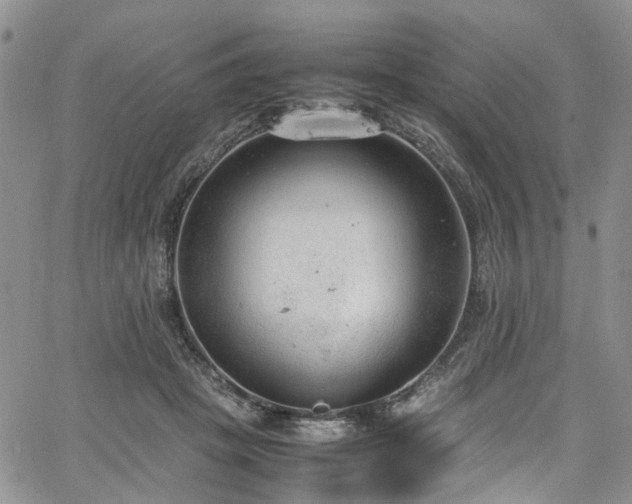 X0000064750457200602101217