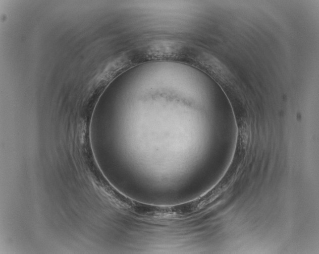 X0000064750458200602101217