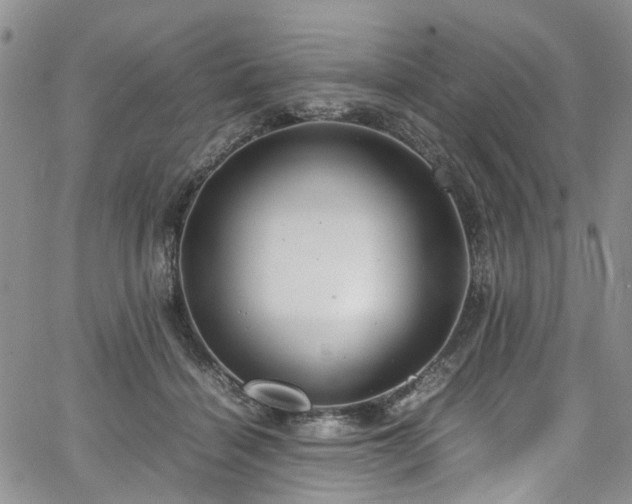 X0000064750460200602101217