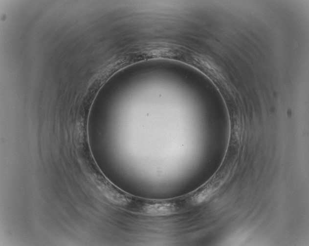 X0000064750461200602101217