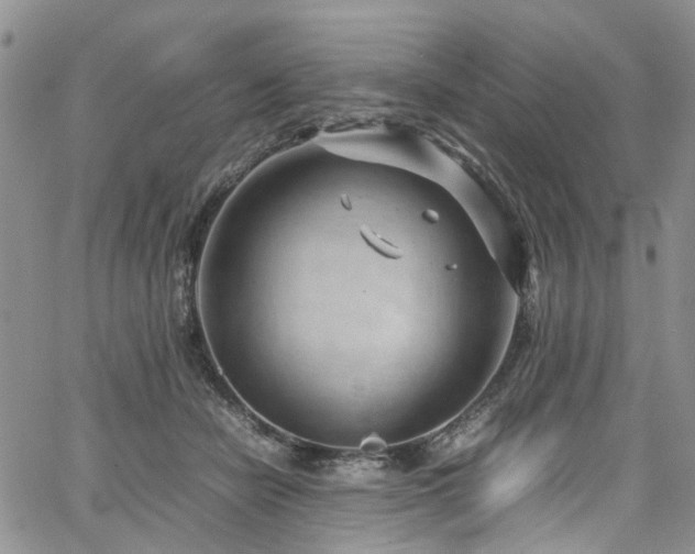 X0000064750462200602101217