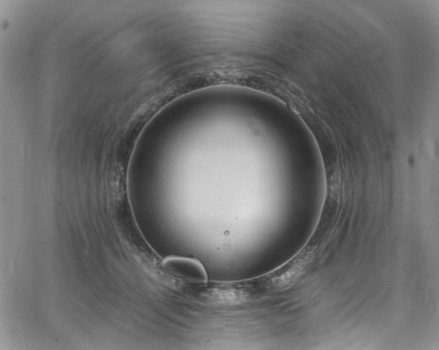 X0000064750464200602101217