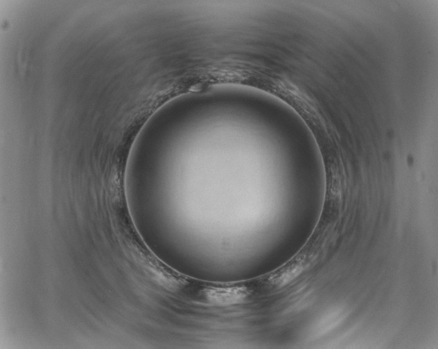 X0000064750465200602101217