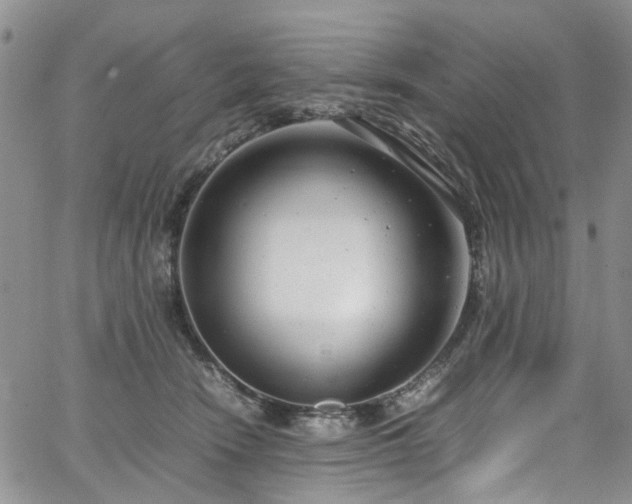 X0000064750466200602101217