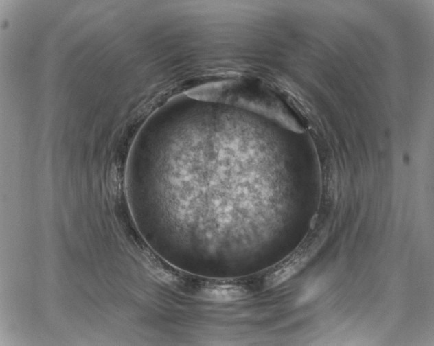 X0000064750467200602101217