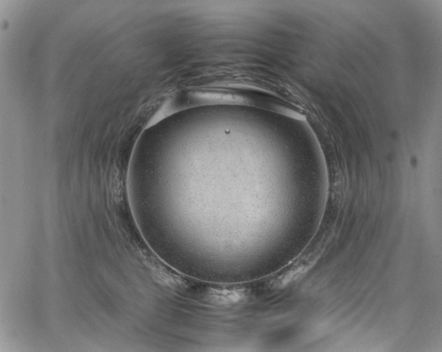 X0000064750469200602101217