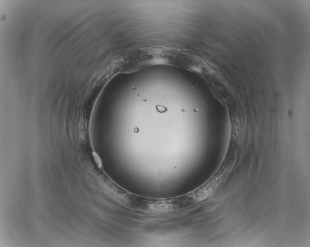 X0000064750470200602101217