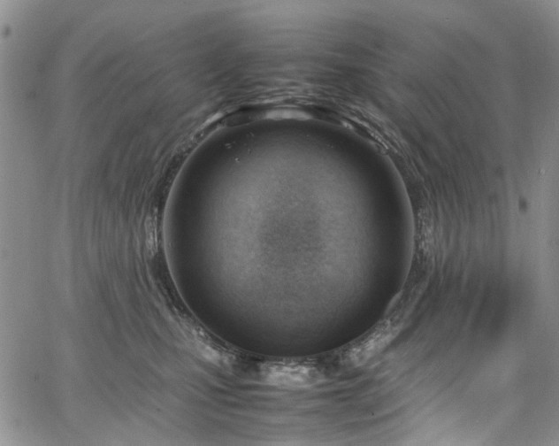 X0000064750471200602101217