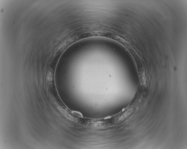 X0000064750472200602101217