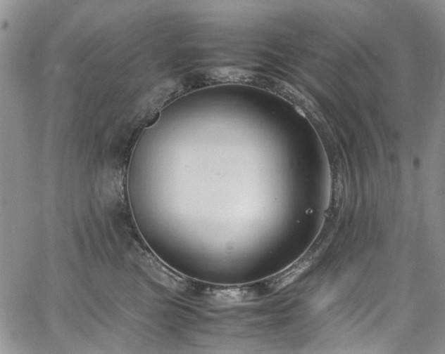 X0000064750473200602101217