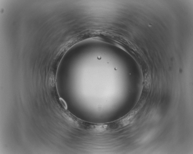 X0000064750474200602101217