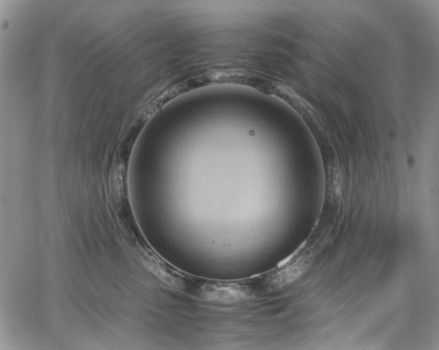 X0000064750475200602101217