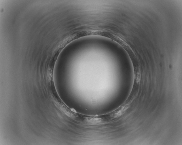 X0000064750476200602101217