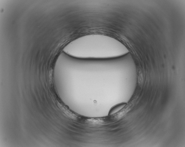 X0000064750477200602101217