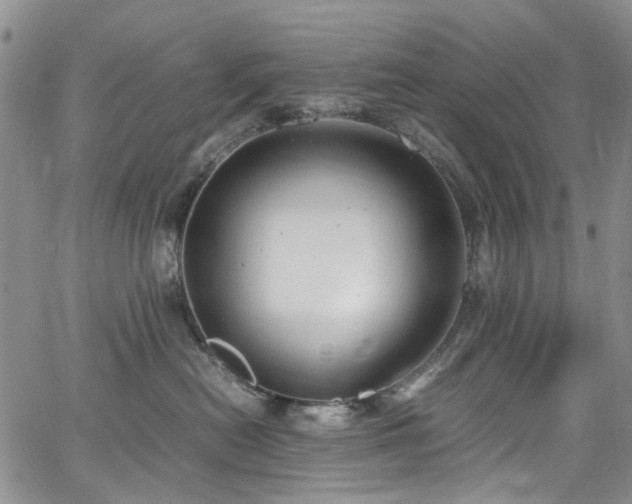 X0000064750478200602101217