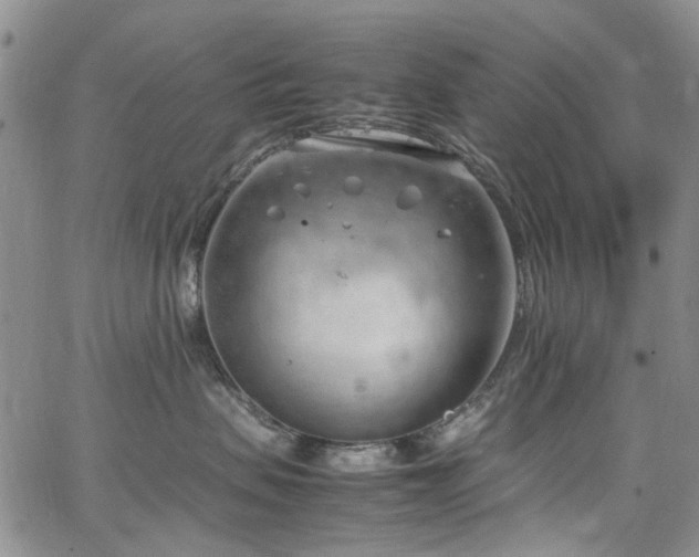 X0000064750479200602101217