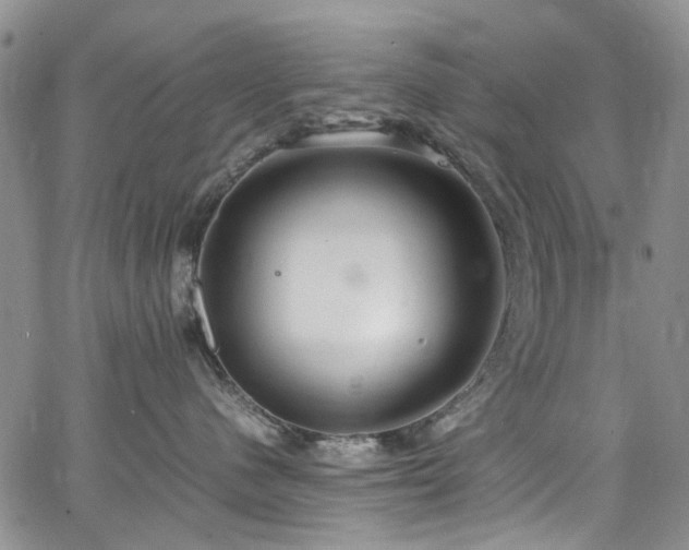 X0000064750480200602101217