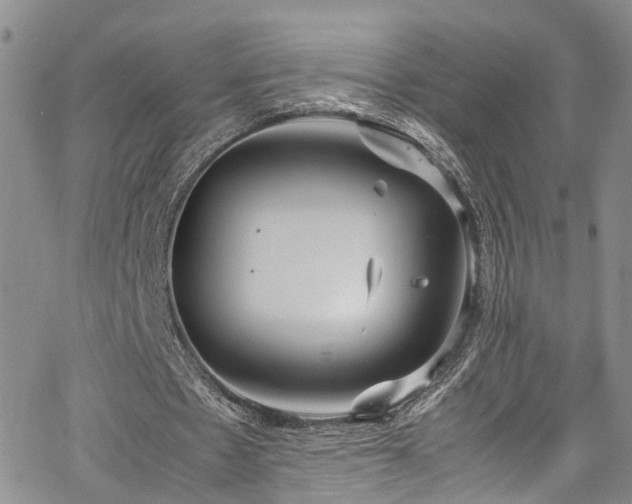 X0000064750481200602101217