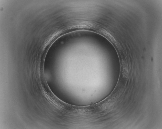 X0000064750482200602101217