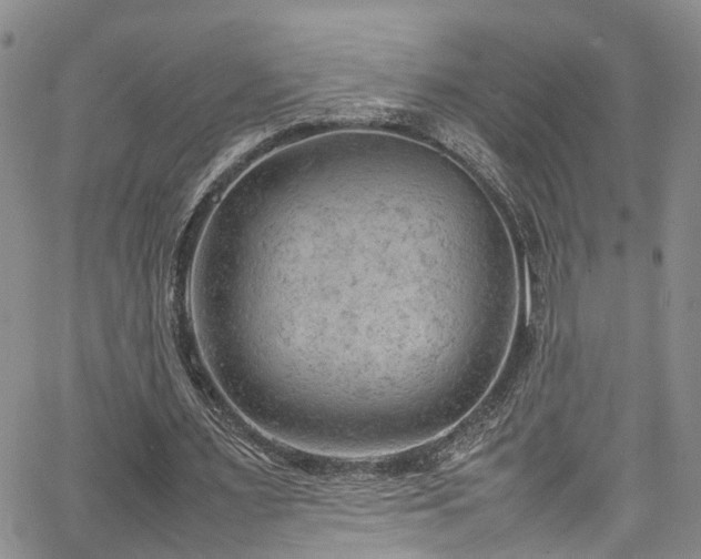 X0000064750483200602101216