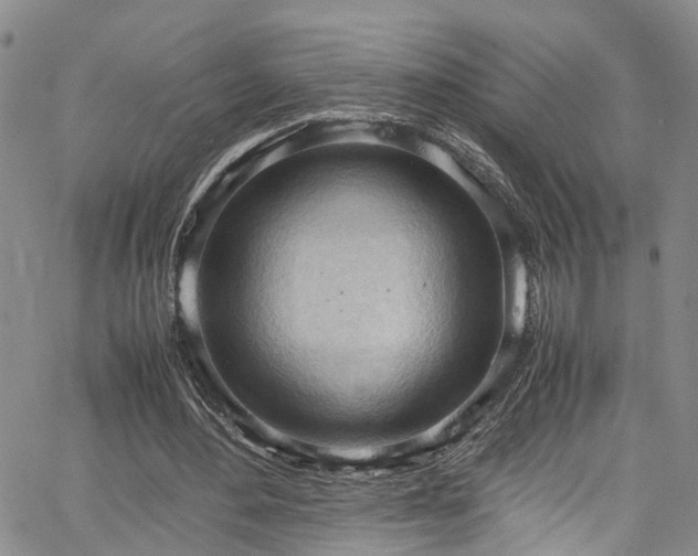 X0000064750484200602101216