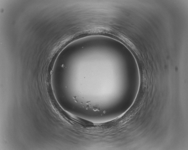 X0000064750485200602101216