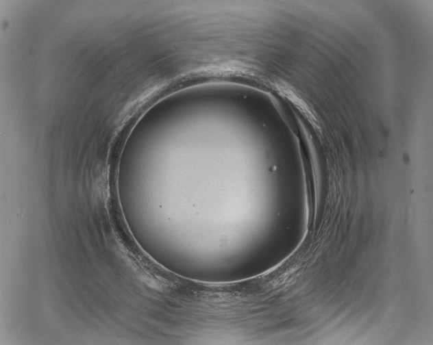 X0000064750486200602101216