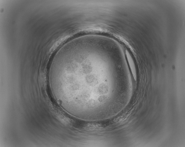 X0000064750487200602101216