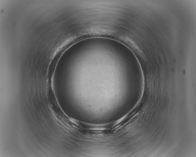 X0000064750488200602101216