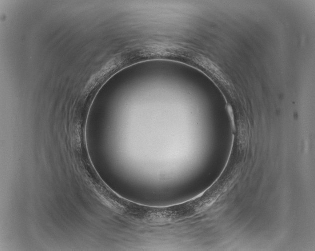 X0000064750489200602101216