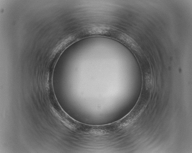 X0000064750490200602101216