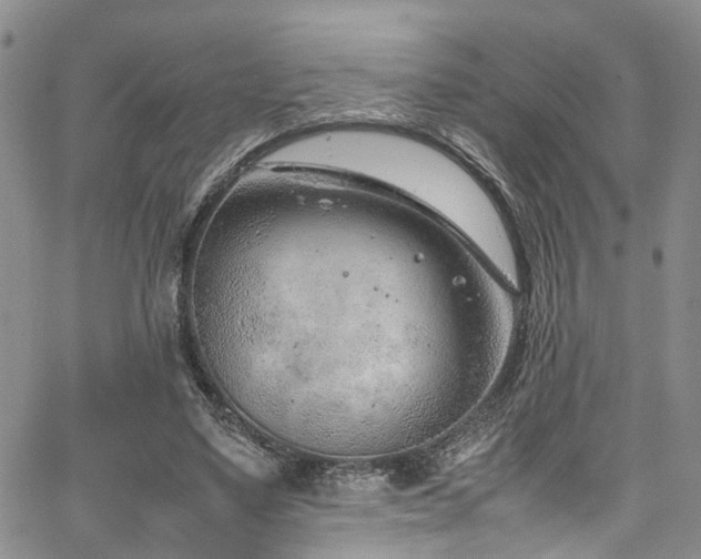 X0000064750491200602101216