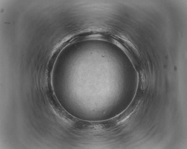 X0000064750492200602101216