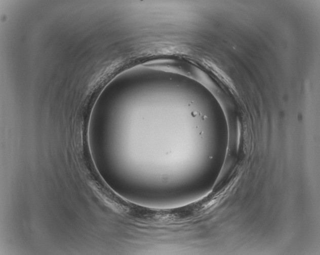 X0000064750493200602101216