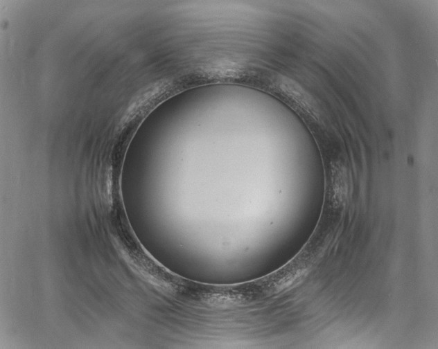 X0000064750494200602101216