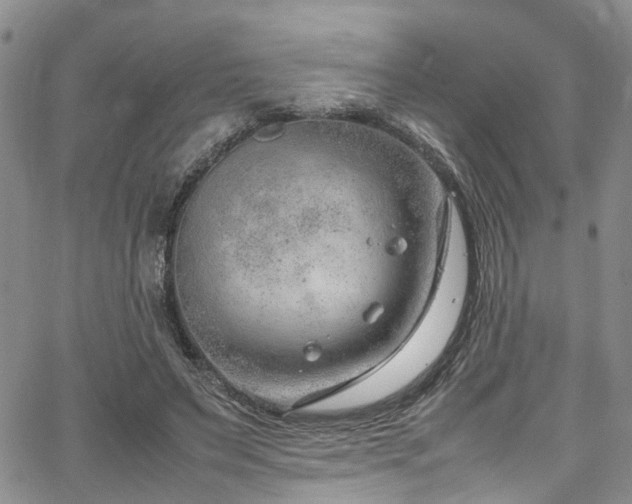 X0000064750495200602101216