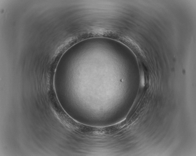 X0000064750496200602101216