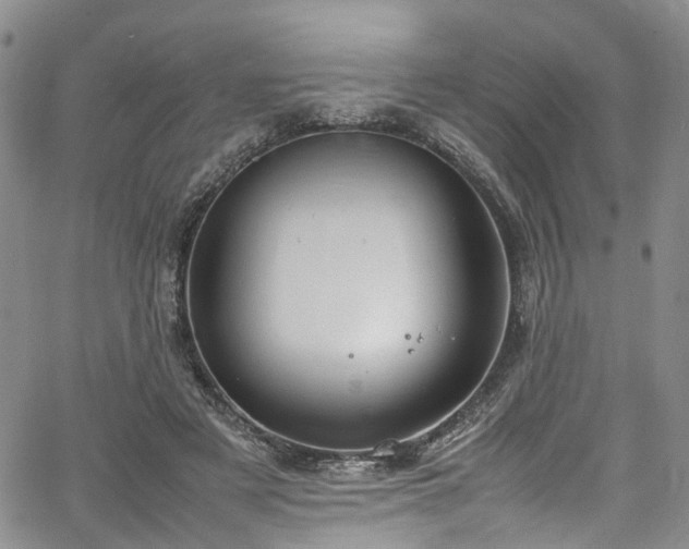 X0000064750497200602101216